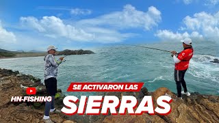 Increíble PESCA tuvimos con nuestro gran amigo @HNFishing87  En Playa Muñecos Veracruz