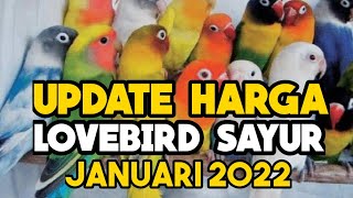 Update Harga Terbaru Lovebird Mutasi standar ( Sayur) Edisi Bulan Januari 2022