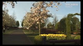 ArcadiaTV World (USA – English)