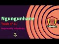 nalyabodya ngungunhane 11 official music audio