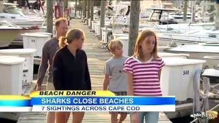 Shark Scare Off the Coast of Cape Cod