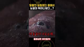 집 안에 들어온 실험체의 몸에서 눈알이 튀어나왔다! [공포영화]