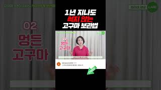 1년 내내 썩지 않는 고구마 보관법 #shorts