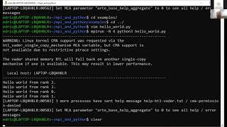 Parallel Programming with Python & MPI