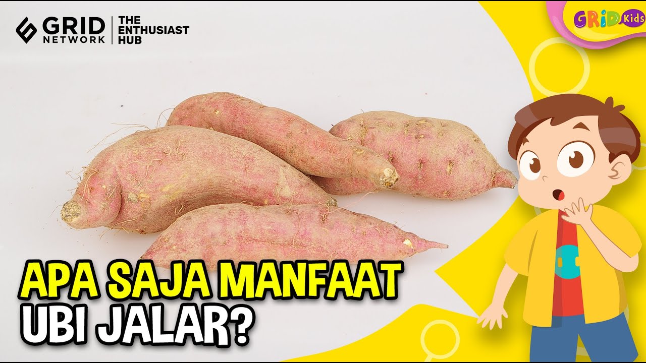 Top 6 Manfaat Ubi Jalar Bagi Kesehatan, Salah Satunya Menjaga Kesehatan ...