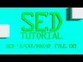 SED Count Lines in a File Linux Shell Tutorial BASH