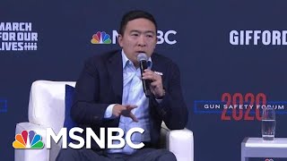 Andrew Yang On The Correlation Between Economic Insecurity And Gun Violence | MSNBC