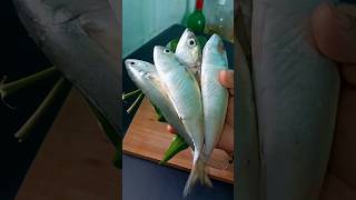 இன்னைக்கி மீன் வாங்கியாச்சி ₹100 #shorts #viral #fish