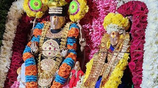 சீர்காழி ஸ்ரீ சட்டநாதசுவாமி திருக்கோவிலில் நடைபெற்ற திருக்கல்யாணம்| Sirkali temple Thirukalyanam.