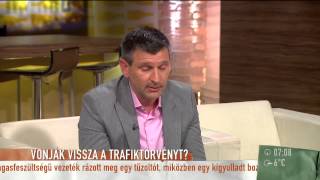 Tóbiás József szerint a halálbüntetés kérdése terelés - 2015.04.29. - tv2.hu/mokka