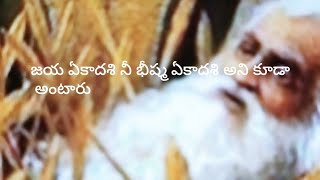 మాఘమాస శుక్లపక్ష ఏకాదశిని జయ ఏకాదశి లేక భీష్మ ఏకాదశి అంటారు ఈరోజు విష్ణు సహస్రనామాన్ని జపిస్తే మంచిద