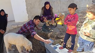 Building a Fence in Front of the House: A Day in the life of Atabek and Shahin