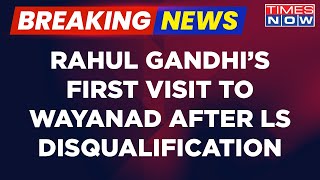 Breaking News: Rahul Gandhi Reaches Waynad, Holds Massive Congress Roadshow | Times Now