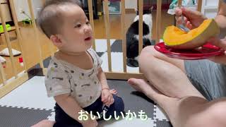 【離乳食】はじめてメロンを食べる赤ちゃん(11ヶ月) Baby eats melon first time