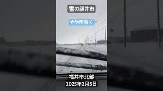 「雪の福井市」この冬一番の寒波で昨日(2/4)より大雪で、学校等は休校となってますが、主要幹線道路の通行止めは朝,解除され、峠は越え,雪雲は北(新潟？)へ移動した模様。福井市 北部。2025年2月5日