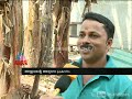 interesting video of man climbing tree upside down