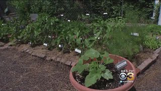 Dream Drives: Horticulture Center In Fairmount Park