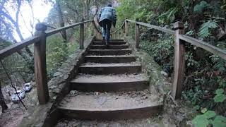 Excursión de la Red de Vigilancia de Patógenos Virales Emergentes (RVPVE) San Luis Potosí, México.