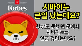 [시바이누] 오래 기다리셨습니다. '포브스' 시바이누 언급?