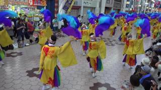 旭食品　第63回よさこい祭り本祭１日目　帯屋町筋競演場４K　2016．8．10