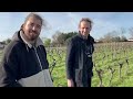 pépin vin nature dans les vignes d antoine bernardin vigneron en biodynamie la petite odyssée