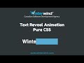 Text Reveal Animation with CSS