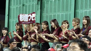 231104 野生樂天女孩-桃猿大勝嗆司 客隊區 台灣大賽G1 天母棒球場