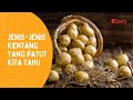 Jenis-Jenis Kentang Yang Patut Kita Tahu