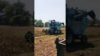 Soyabean katai mini harvester #kisan #food #trending #short