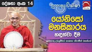 2024 06 13 | Prathyaweksha | යෝනිසෝ මනසිකාරය හඳුන්වා දීම