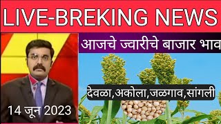 aajche jwari bajar bhav | आजचे ज्वारी बाजार भाव | jwari bajar bhav Today | 14 जून 2023 |