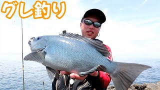 真夏の大分県深島の中のハエで釣ってみた