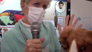 Medical Pet Shirts interview at Veterinarian Expo filmed for VetVittles