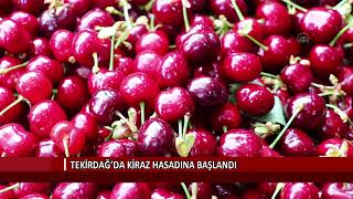 Tekirdağ’da kiraz hasadına başlandı