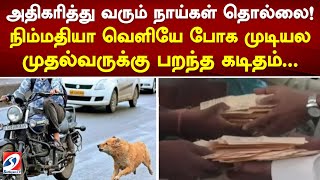 அதிகரித்து வரும் நாய்கள் தொல்லை! நிம்மதியா வெளியே போக முடியல முதல்வருக்கு பறந்த கடிதம்..