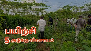 5 அடுக்கு விவசாய நுட்பம்: நிலையான விவசாயத்தில் புரட்சி! | Thaiman 5 Layer Farming | Coimbatore