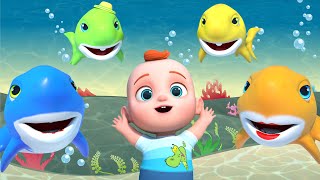 Tubarão Bebê (Baby Shark) - Músicas Infantis | GoBooBoo em Português