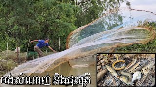 Cast Net Fishing and Grilled fish | បង់សំណាញ់ ដុតត្រី ថ្ងៃចុងសប្តាហ៍