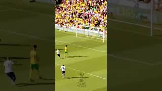 Momens Goals Son Heung-Min || Norwich vs Tottenham - Premier League || #Shorts #Tottenham #Spurs