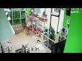 애견호텔에서 멍 들어 돌아온 강아지 dog ...cctv 확인해봤더니