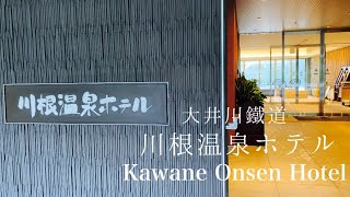 川根温泉ホテル　大井川鐵道🌟鉄道が見えるお宿🌟子連れwelcome[Hotel vlog]