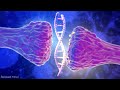 Regenerate Body Tissue (Sound Therapy), Repairs DNA Healing Code, Cleanse Negative Energy