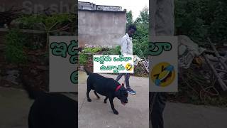 ఇద్దరు ఒకేలా ఉన్నారు🤣😀😂 Don't miss end #comedy #funny #trending #shorts