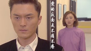 婚姻合伙人｜精華｜愛的反面是不痛不癢｜楊明｜高海寧｜墮胎｜