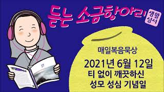 생활성서 듣는 소금항아리 [2021년 6월 12일 토요일 | 티 없이 깨끗하신 성모 성심 기념일](대전교구 김용태 안드레아 신부) 매일미사