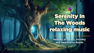 Finding PEACE in the WOODS – A Relaxing Nature Escape