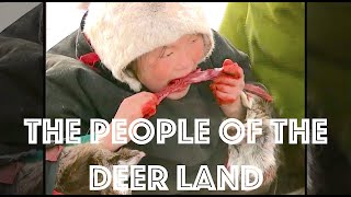 The People of the Deer Land. Indigenous peoples of the Russian North. Survival in Siberia.