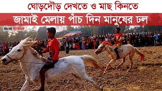 সারিয়াকান্দিতে ঐতিহ্যবাহী গ্রামীণ পৌষমেলায় ধানক্ষেতের মাঠে ঘোড়দৌড়