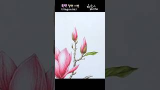 목련 솜털 그리는 방법 | 철펜 사용법 배우기 | 색연필 꽃그림 강좌