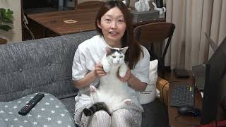 夫の帰りを待ちきれない猫と、嫁。【子なしアラフォー夫婦の日常VLOG in 北海道】